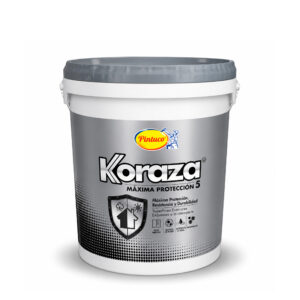 vinilo blanco balde koraza balde